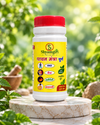 Paachan Mantra Churan – Ayurvedic Digestive Support Powder