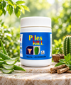 Piles Kill Capsules – Ayurvedic Hemorrhoid & Digestive Health Support | 30 Capsules